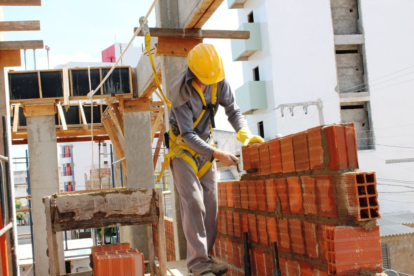 Construção e Manutenção - Reprodução